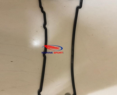 قطعه جت اسکی-واشر درب‌ موتور