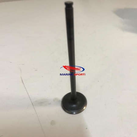 لوازم مصرفی جت اسکی-سوپاپ