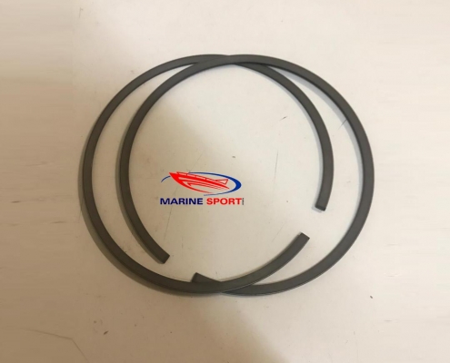 لوازم مصرفی جت اسکی-رینگ